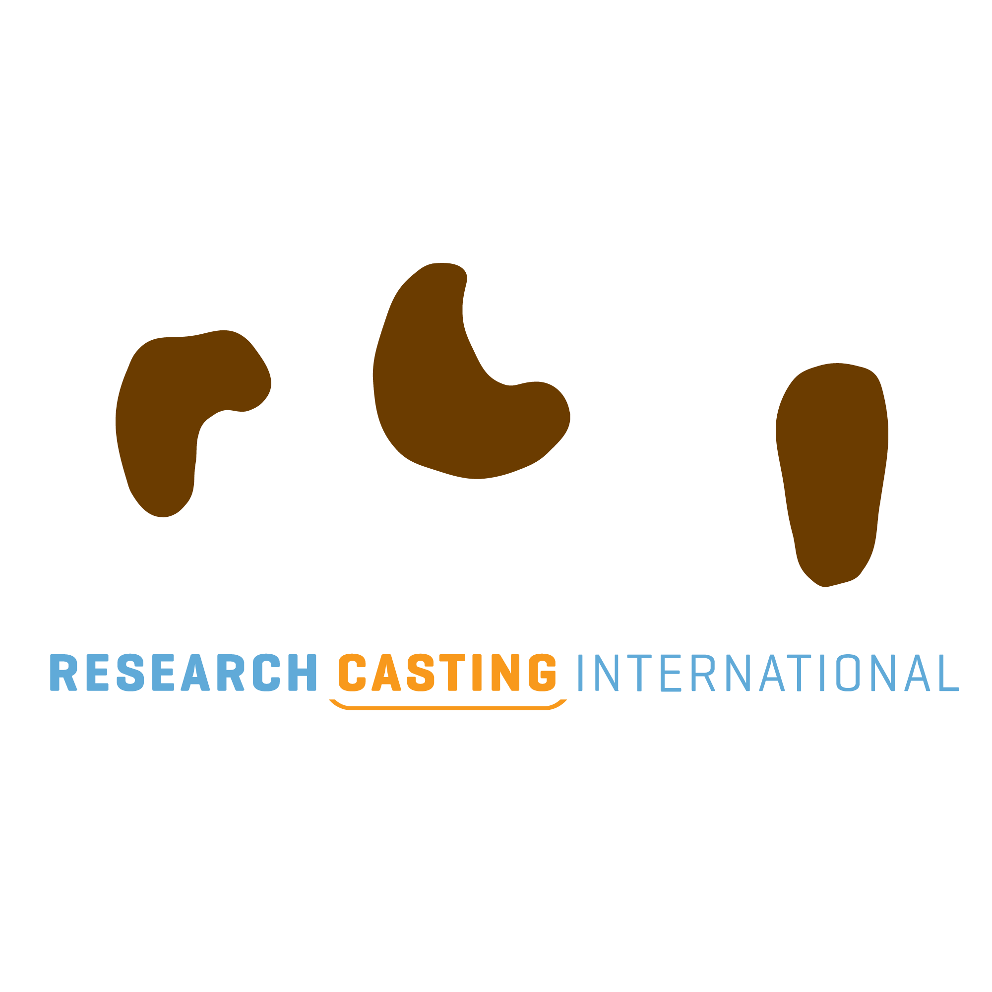 Research Casting International